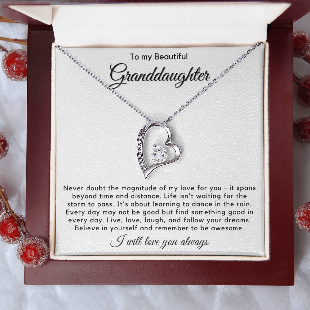 To My Granddaughter - Live, Love, Laugh, And Follow Your Dreams - JL0023