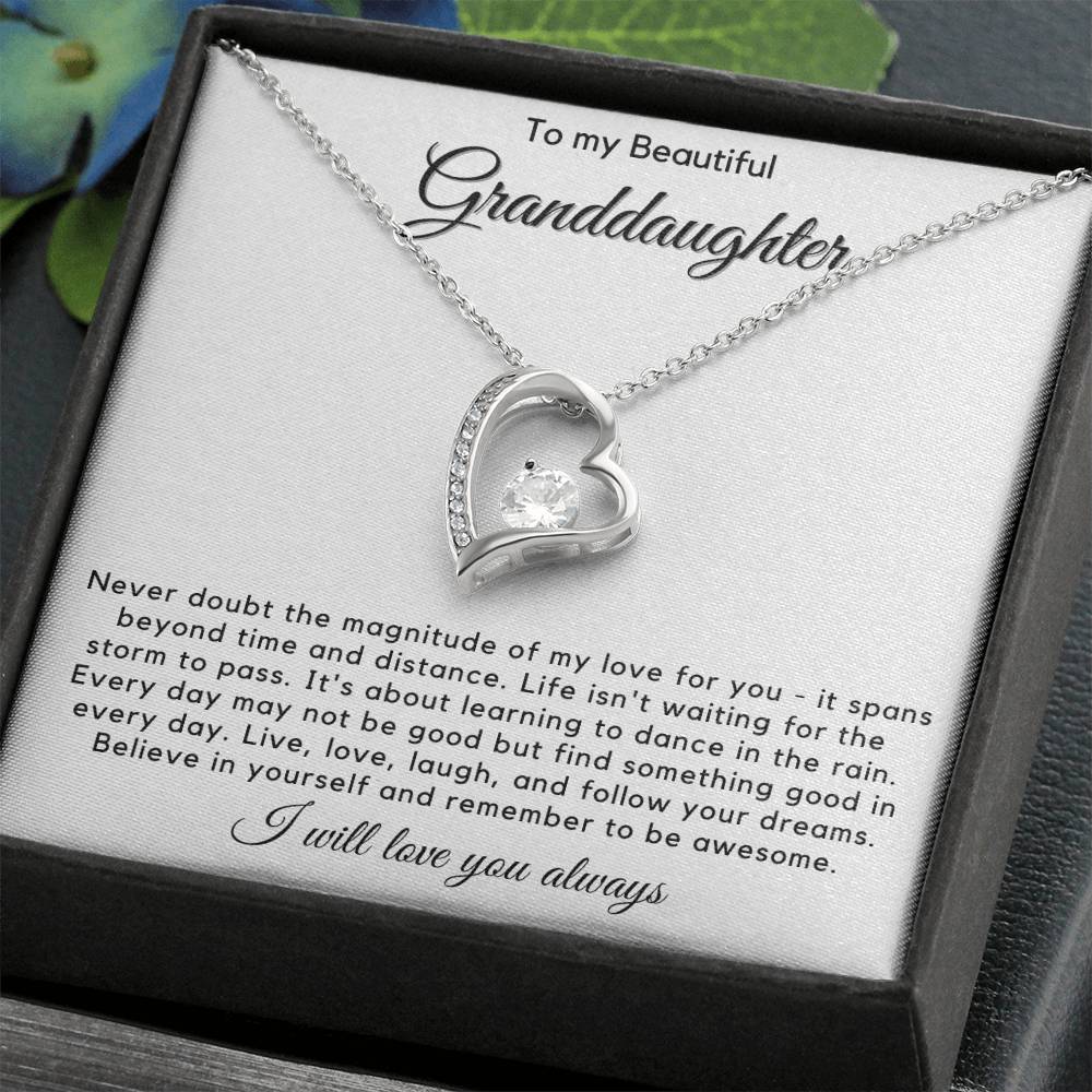 To My Granddaughter - Live, Love, Laugh, And Follow Your Dreams - JL0023