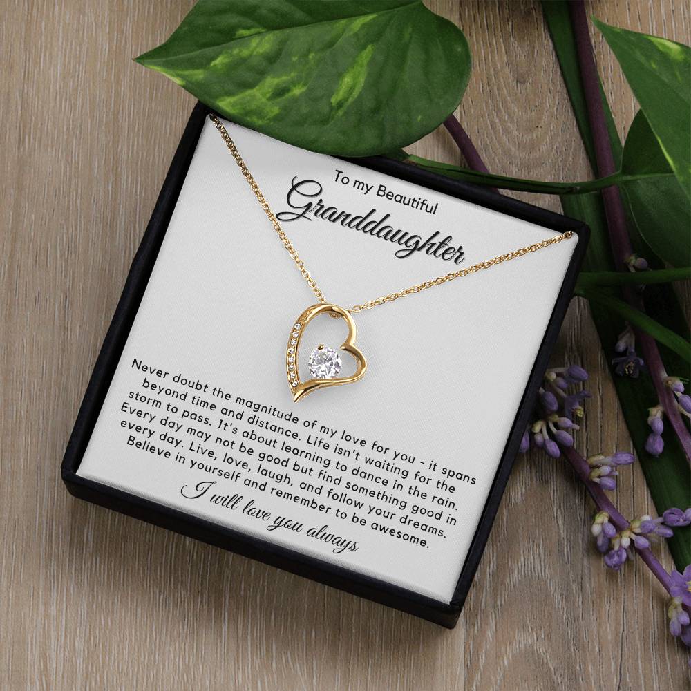 To My Granddaughter - Live, Love, Laugh, And Follow Your Dreams - JL0023
