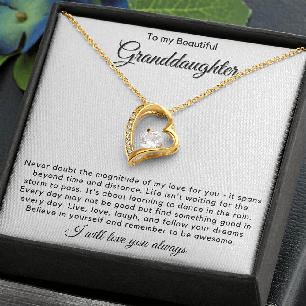 To My Granddaughter - Live, Love, Laugh, And Follow Your Dreams - JL0023